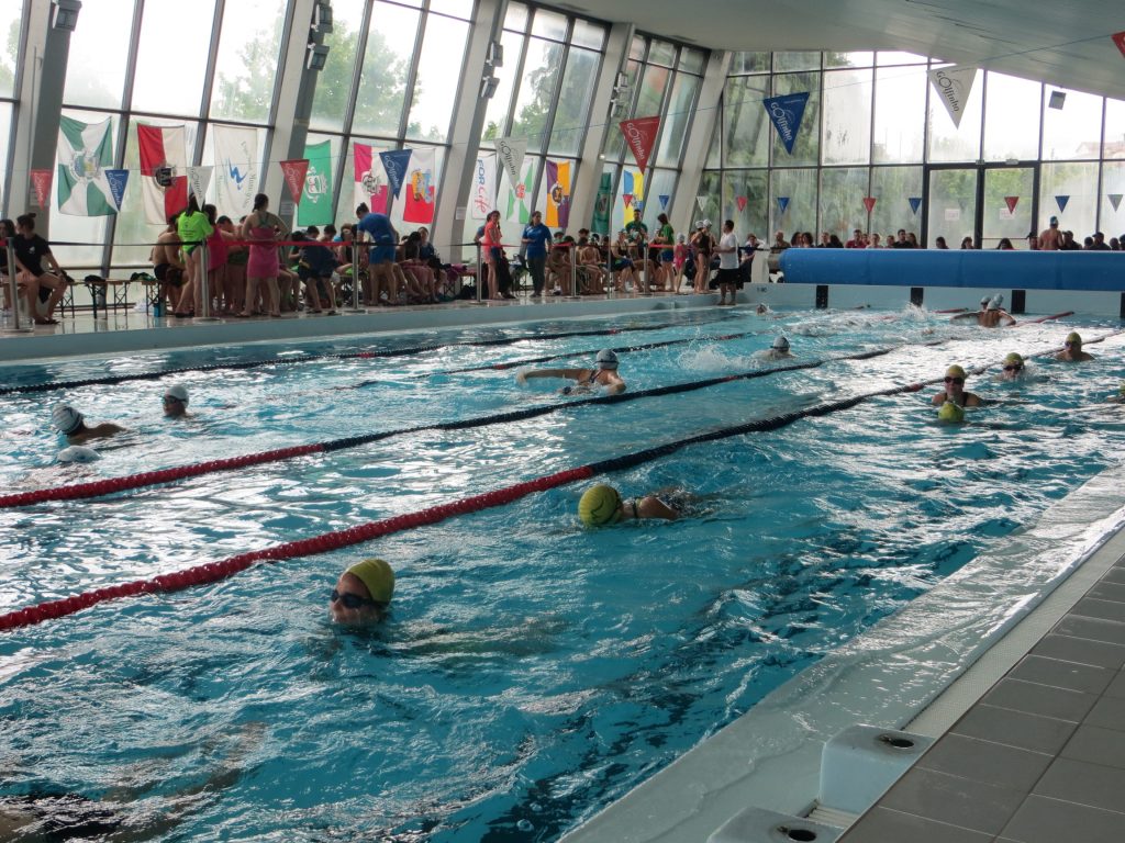  Mais de 500 nadadores no Circuito Municipal das Escolas de Natação - Jornal do Centro