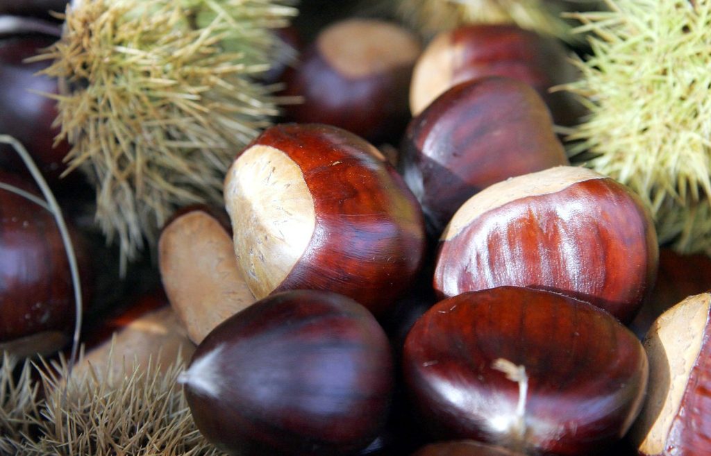  Feira da Castanha em Souto de Lafões (Oliveira de Frades)