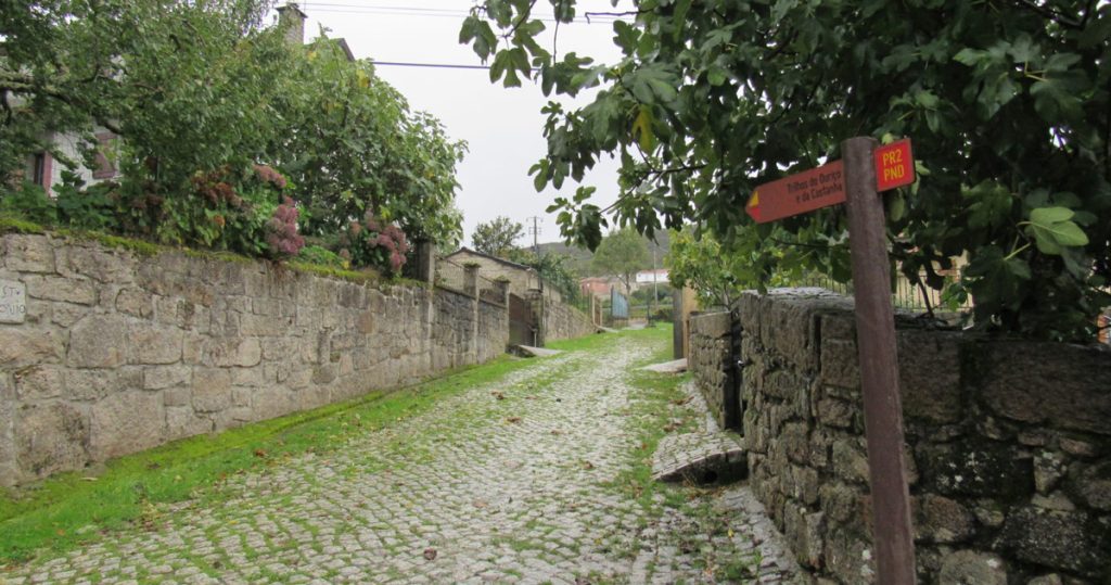  Penedono: Câmara desafia munícipes a percorrerem Trilhos do Ouriço e da Castanha - Jornal do Centro