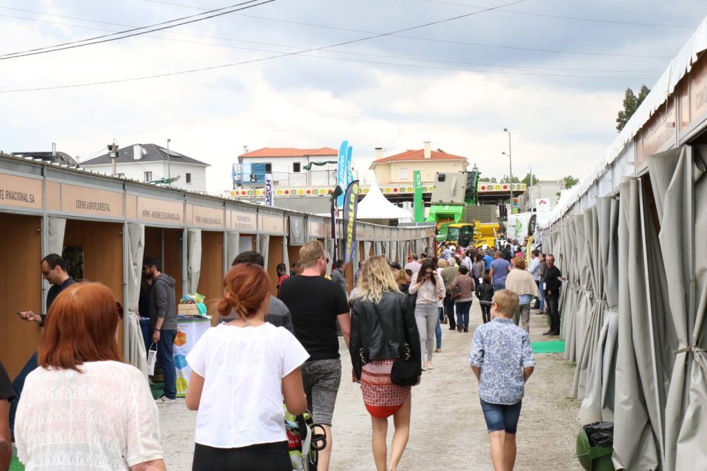  Mortágua volta às feiras com novo certame dedicado à floresta - Jornal do Centro