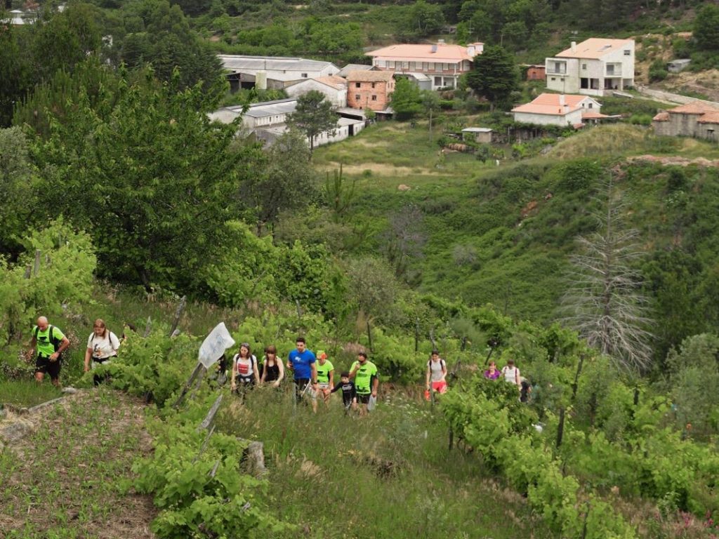  Rota das Cruzes dá a conhecer a festa religiosa mais antiga de Tondela - Jornal do Centro