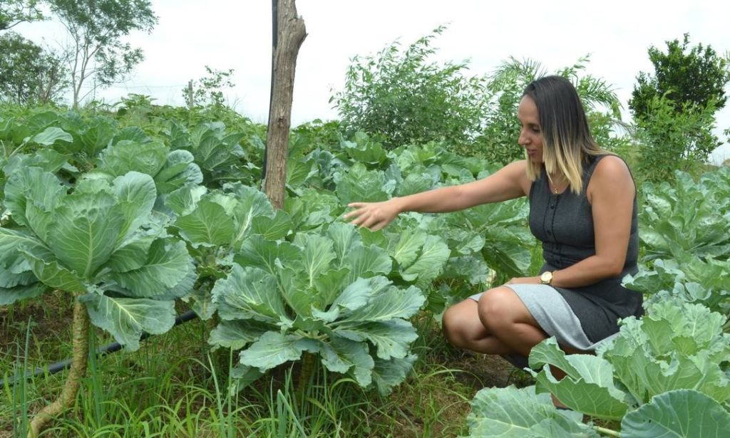  Campo, chave na mão: o projeto que quer trazer novos agricultores para a região - Jornal do Centro