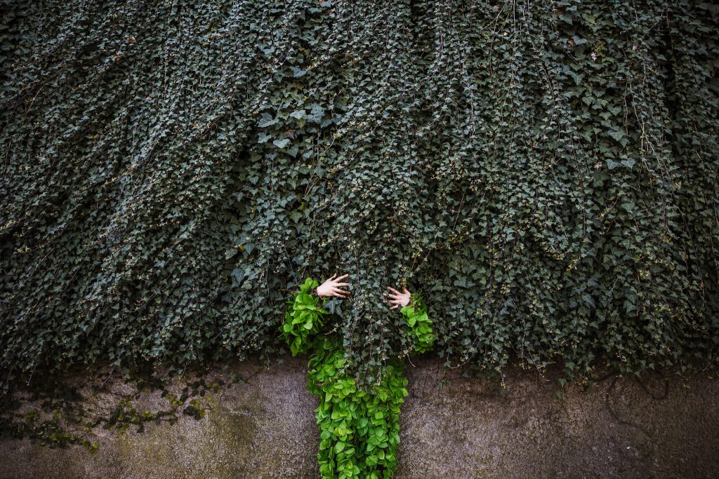  Oficina de fotografia de rua no centro histórico de Viseu - Jornal do Centro