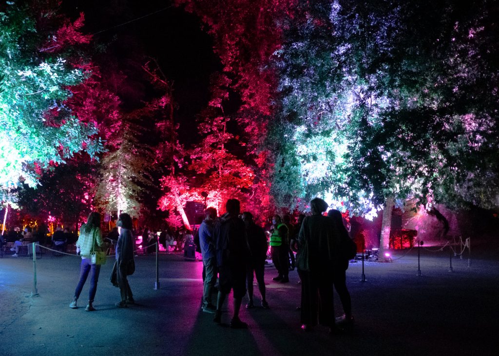  Karma é hoje no Carmo’81 com Ana Lua Caiano, Knok Knok e Ohxala - Jornal do Centro