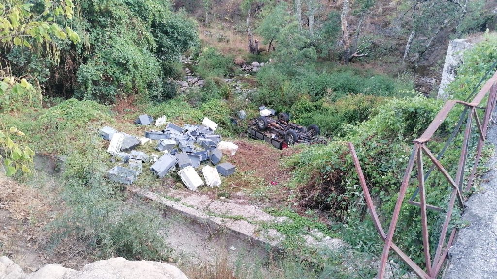  Despiste faz dois mortos em Lamego - Jornal do Centro