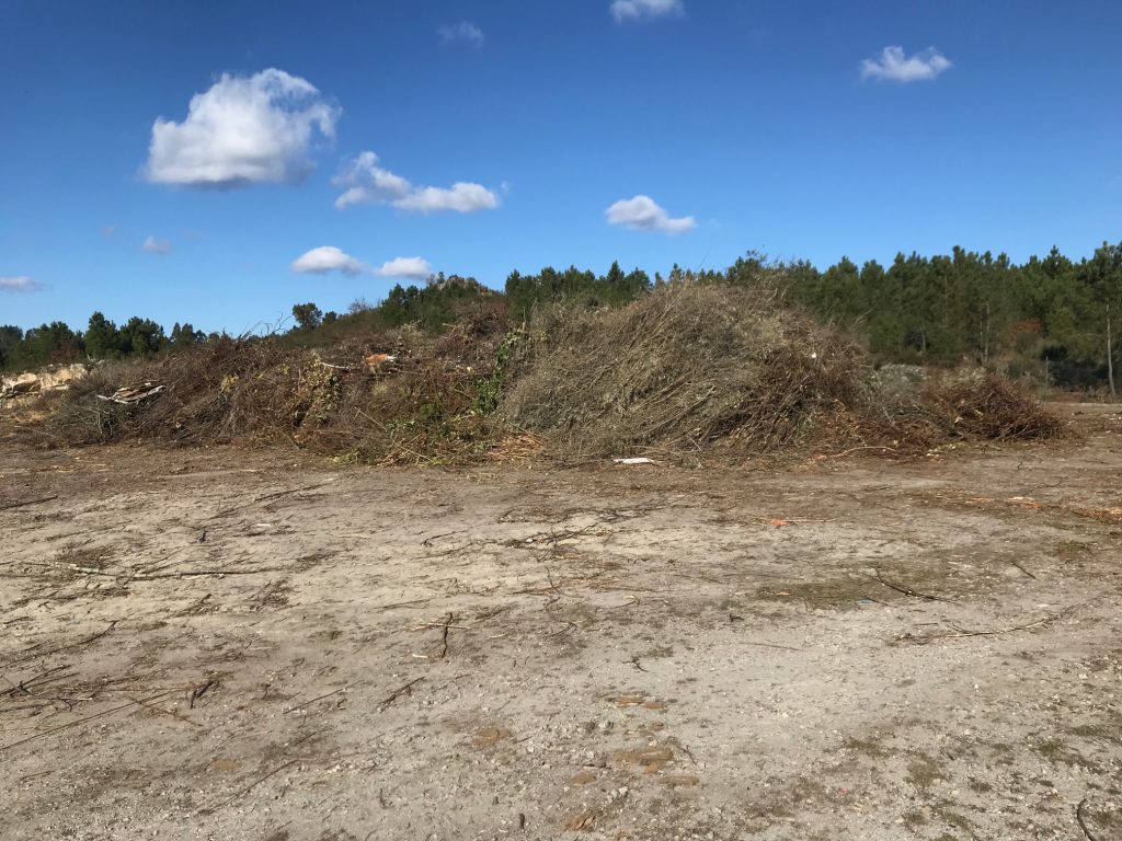  Mais de 700 toneladas de resíduos já foram retiradas dos ecopontos florestais de Viseu - Jornal do Centro