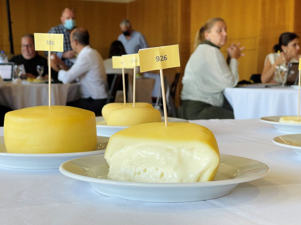  Mais de 180 queijos à prova em concurso nacional - Jornal do Centro