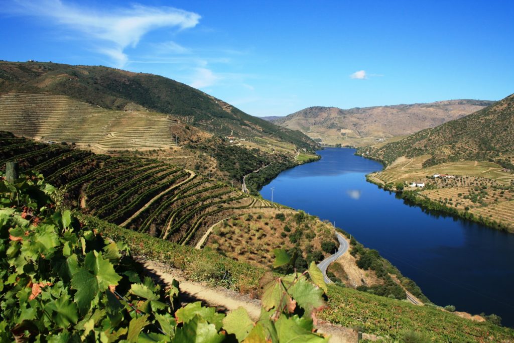  Douro, que belo que és. Mas, o que te faltará? - Jornal do Centro