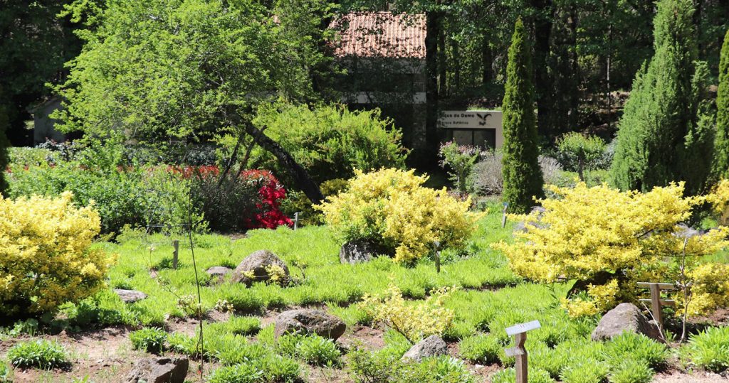  Parque botânico vai ser resgatado para florir Vila Nova de Paiva - Jornal do Centro