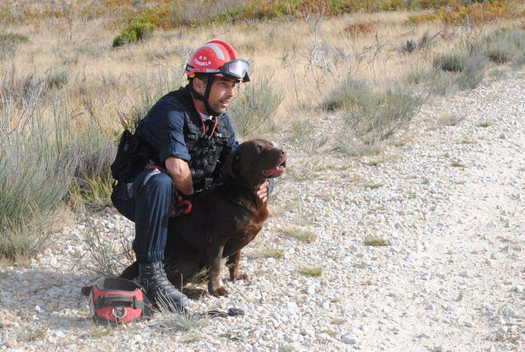  Nero: a história de um cão que esteve ao serviço do país - Jornal do Centro