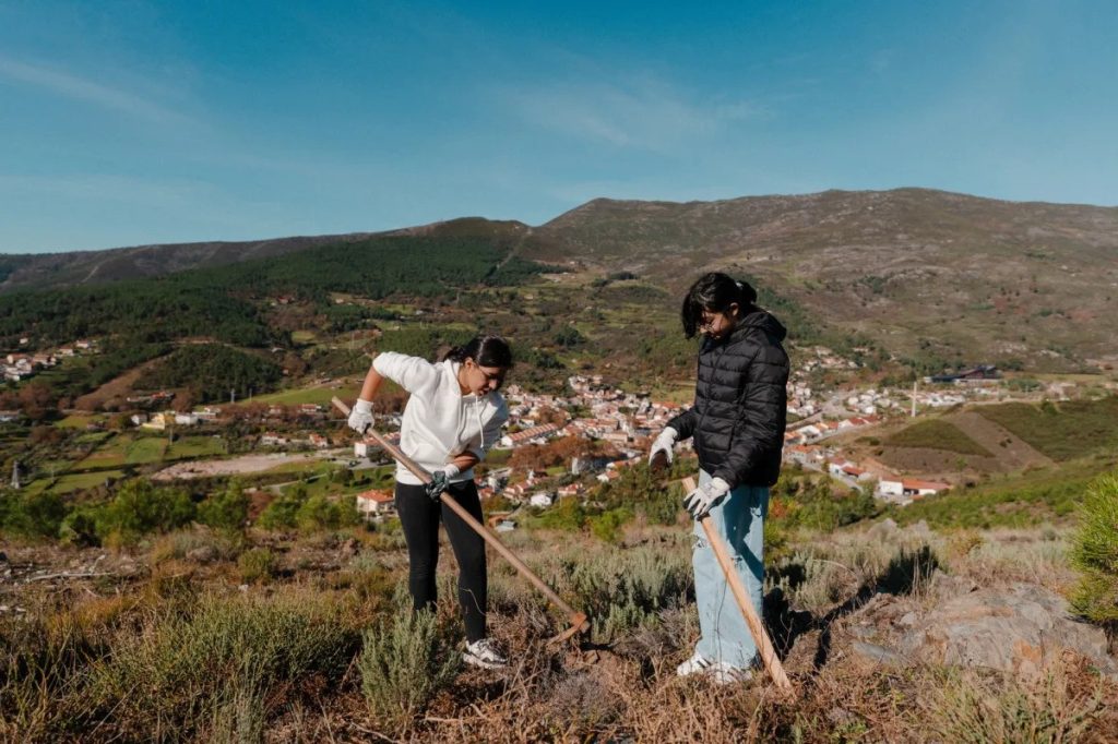  Alunos de Viseu plantam mais de 250 árvores na freguesia de Lordosa - Jornal do Centro