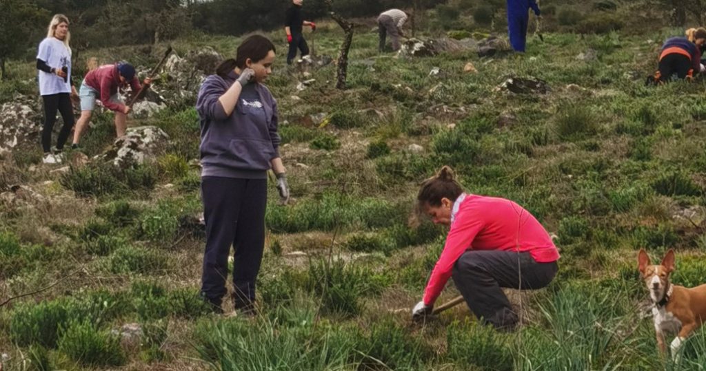  Mais de quatro mil árvores vão ser plantadas no concelho de Castro Daire - Jornal do Centro