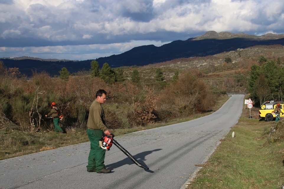  Incêndios: Limpeza prioritária em 159 freguesias da região de Viseu - Jornal do Centro