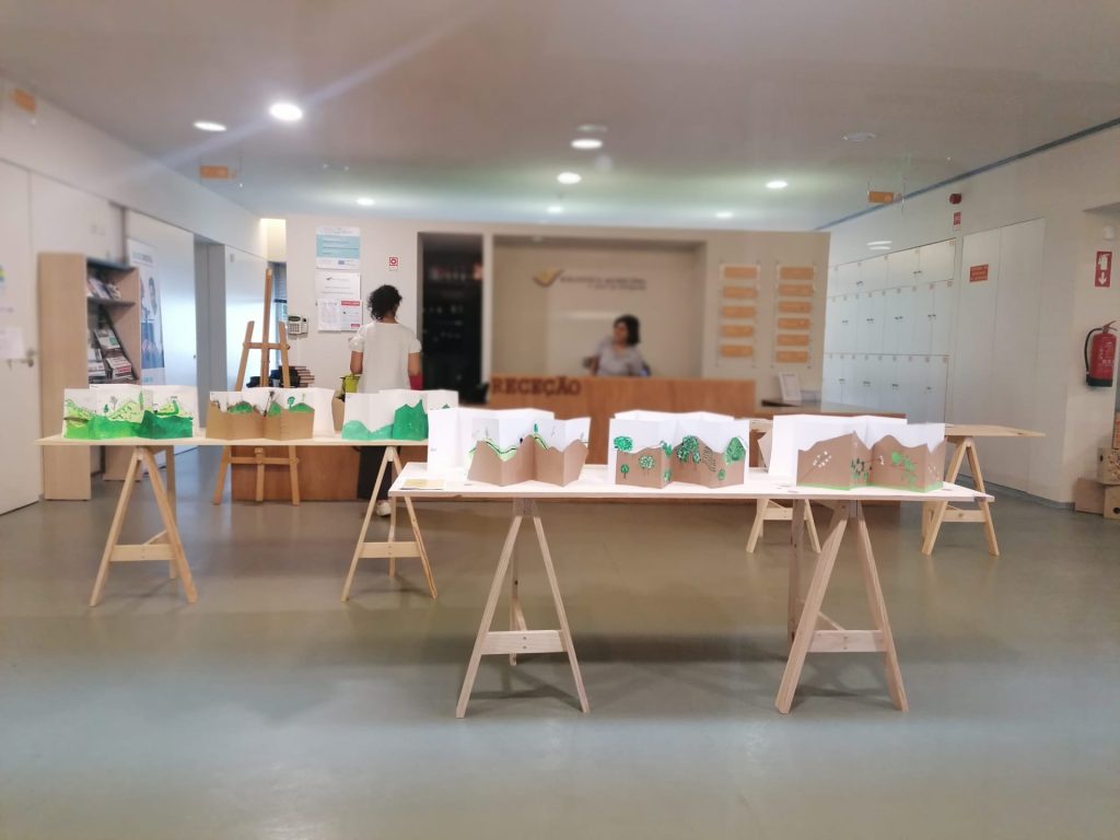  Crianças de Pesqueira, Armamar e Tabuaço mostram trabalhos manuais em exposição - Jornal do Centro