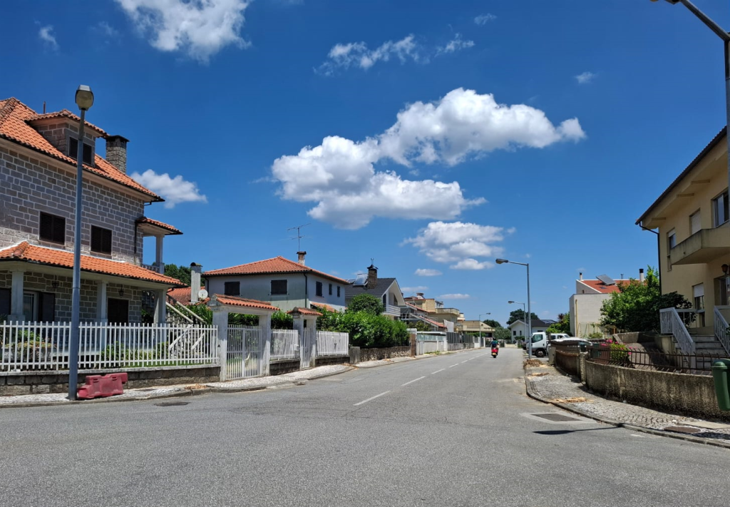  Obras em estrada leva ao corte de mais de 20 árvores na Aguieira 2000 em Viseu - Jornal do Centro