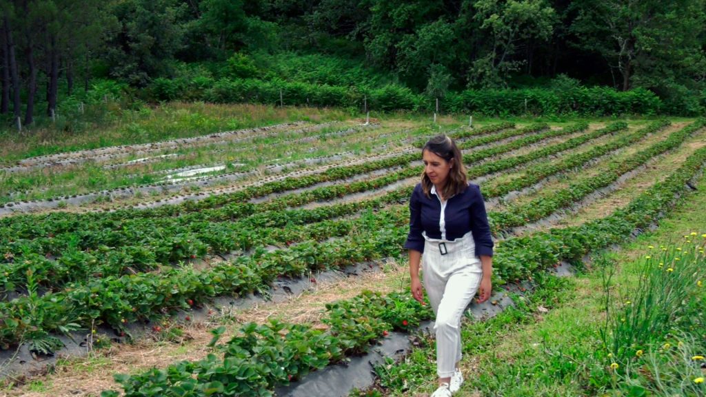 Aguiar da Beira: Jovem agricultora aposta em produção biológica como “opção de vida” - Jornal do Centro