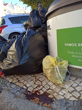  Câmara de Viseu lembra que município tem meios para reciclar monos - Jornal do Centro