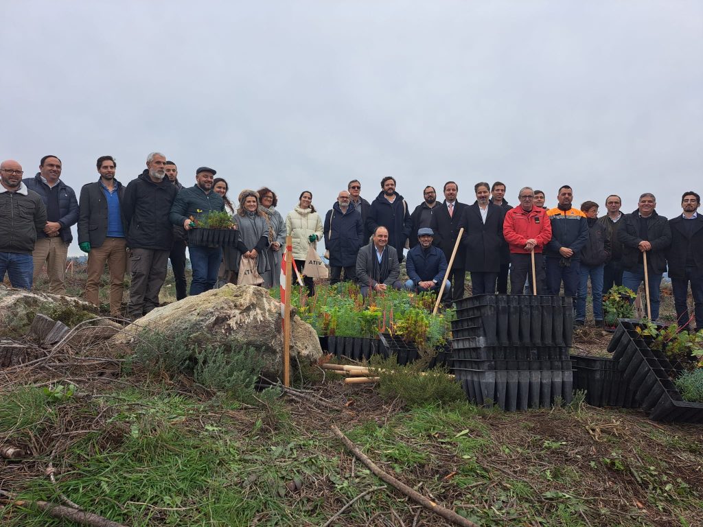 Mais de 72 mil árvores já começaram a ser plantadas em Mangualde - Jornal do Centro