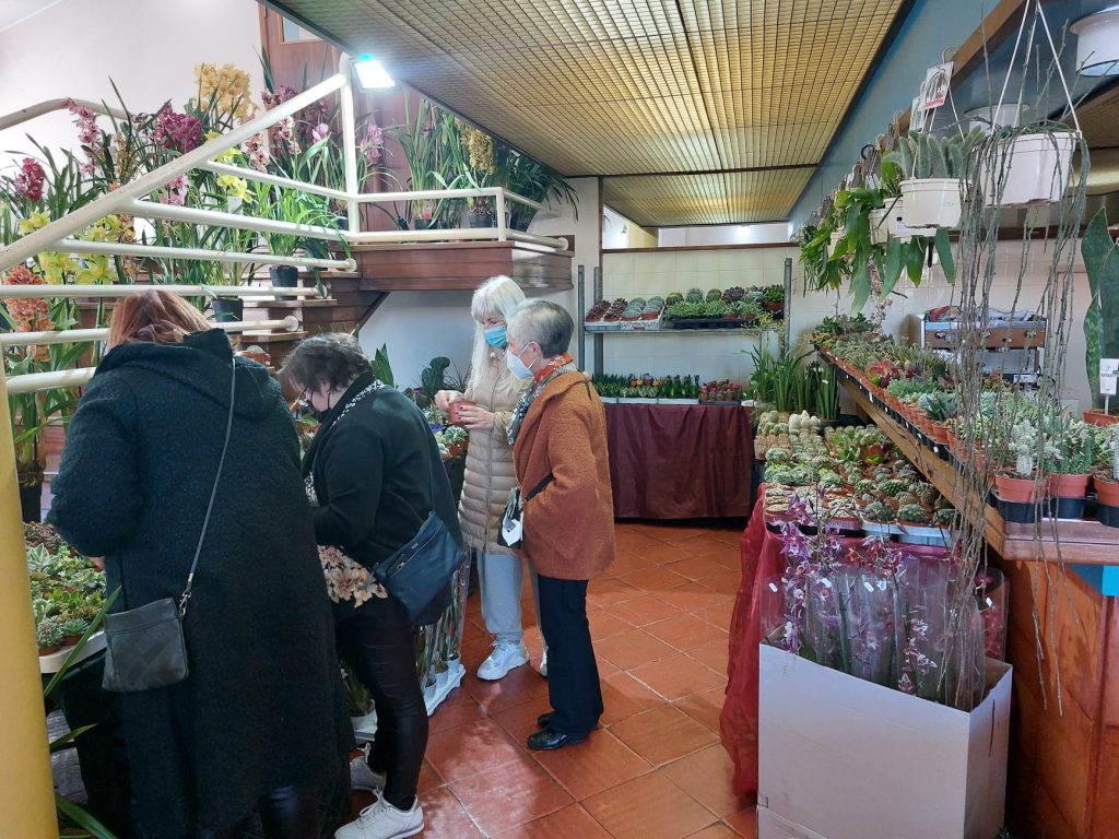  Orquídeas ‘regressam’ a Oliveira de Frades em fevereiro - Jornal do Centro