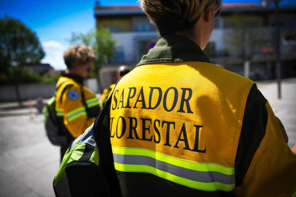  Sapadores florestais e vigilantes da natureza em greve convocada por sindicato de Viseu - Jornal do Centro