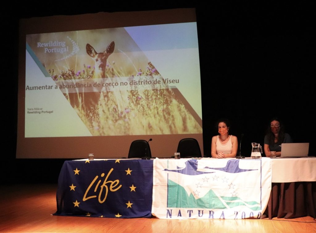  Sessão informativa em Vila Nova de Paiva para proteger o lobo ibérico - Jornal do Centro