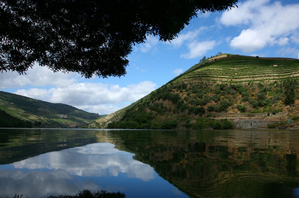  Douro Cidade Europeia do Vinho 2023 termina com gala e homenagens - Jornal do Centro