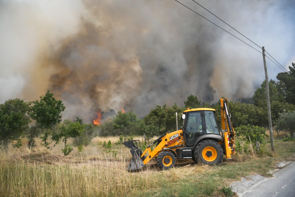  Incêndio em Mangualde poderá ter tido mão criminosa, diz autarca - Jornal do Centro