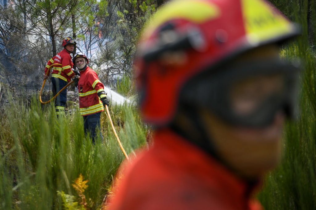  Fase com mais meios de combate a incêndios arranca hoje. Viseu com mais de 600 operacionais - Jornal do Centro