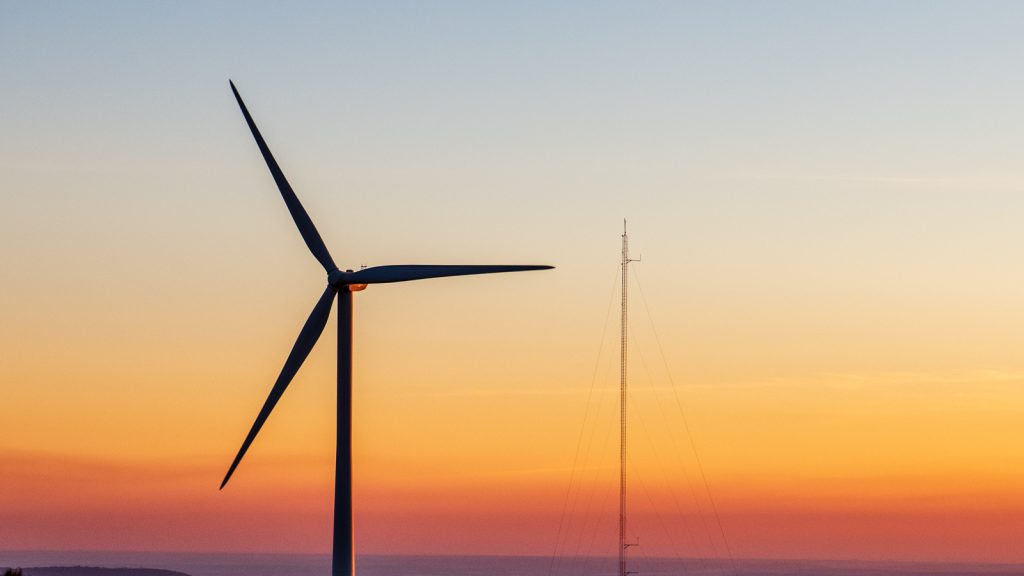  Tribunal de Viseu dá razão a empresa de energias renováveis em processo contra o Fisco