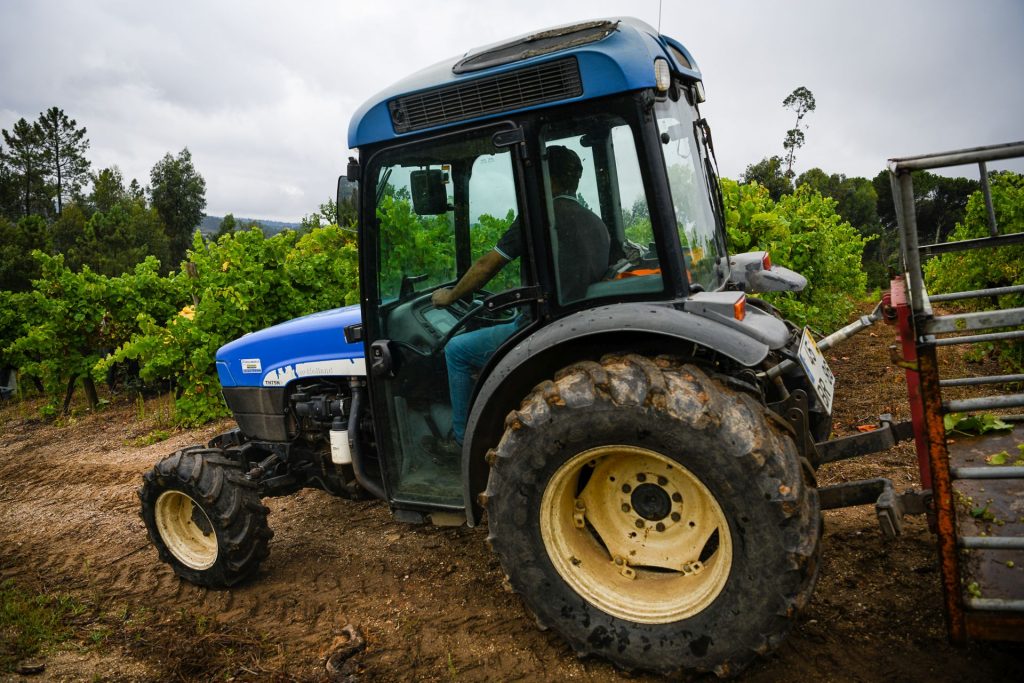  Agricultores na A25 lamentam falta de reconhecimento da atividade - Jornal do Centro