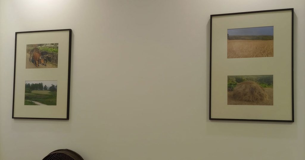  Exposição em V. N. Paiva mostra o mundo rural - Jornal do Centro