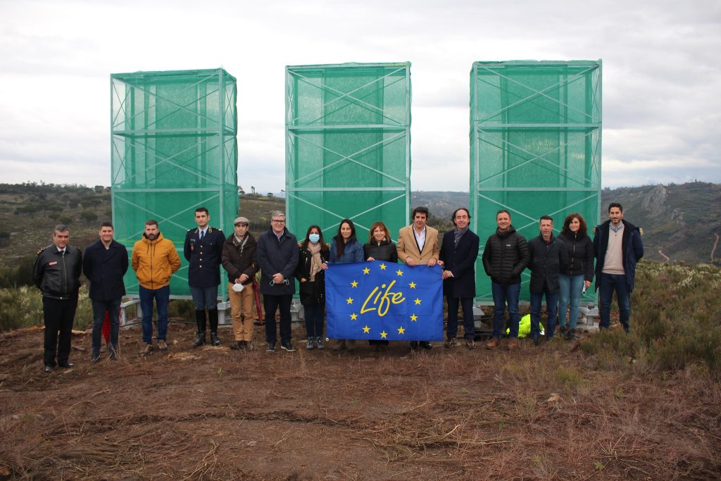  Incêndios: Carregal do Sal e Vouzela testam procedimentos para ajudar floresta a recuperar - Jornal do Centro
