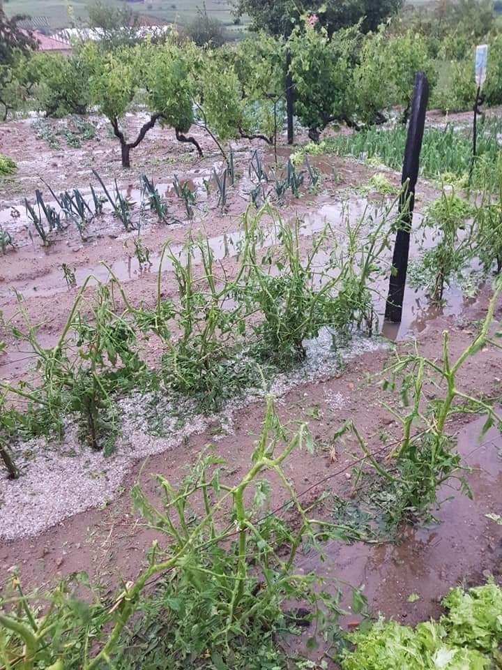  PSD reclama medidas de apoio para prejuízos causados pelo mau tempo - Jornal do Centro
