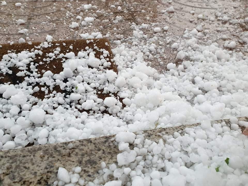  Granizo destrói culturas a 100% na região de Lamego - Jornal do Centro