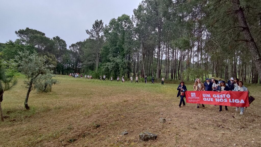  Caminhada em São João da Pesqueira para alertar sobre cancro da mama - Jornal do Centro