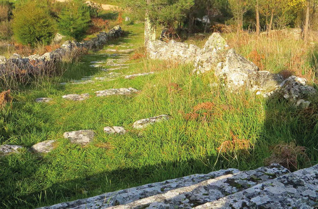  Tarouca promove primeira caminhada em trilhos da região - Jornal do Centro