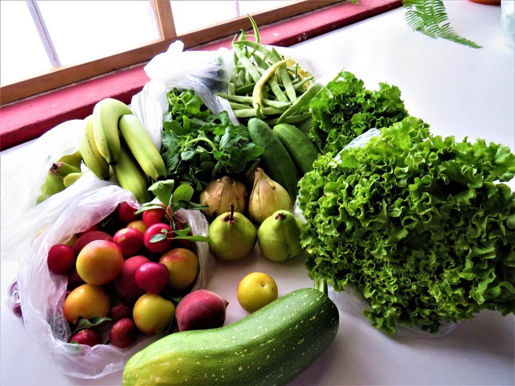  Já foram entregues 822 cabazes às famílias mais carenciadas de Nelas - Jornal do Centro