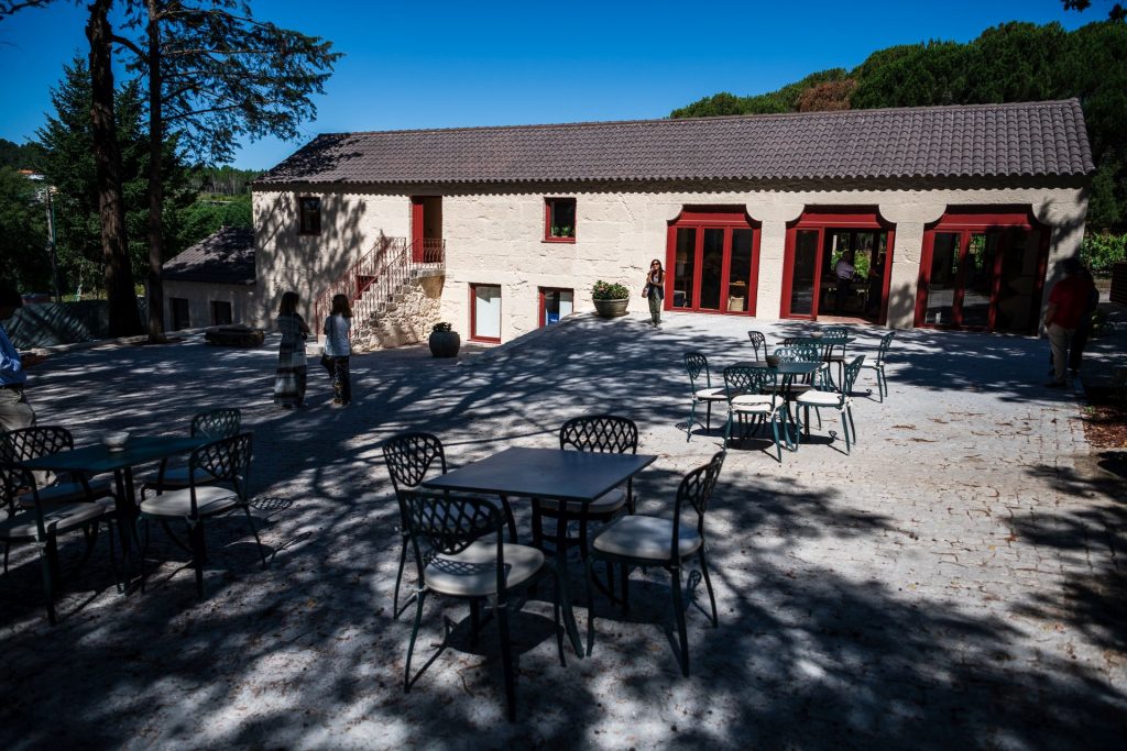  Taboadella Villae Tinto 2019 recebe medalha de ouro no Decanter World Wine Awards 2021 - Jornal do Centro