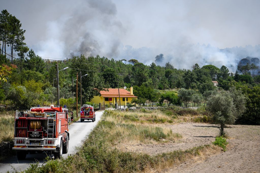 Incêndios: apoios para agricultores de Mangualde e Penalva do Castelo - Jornal do Centro
