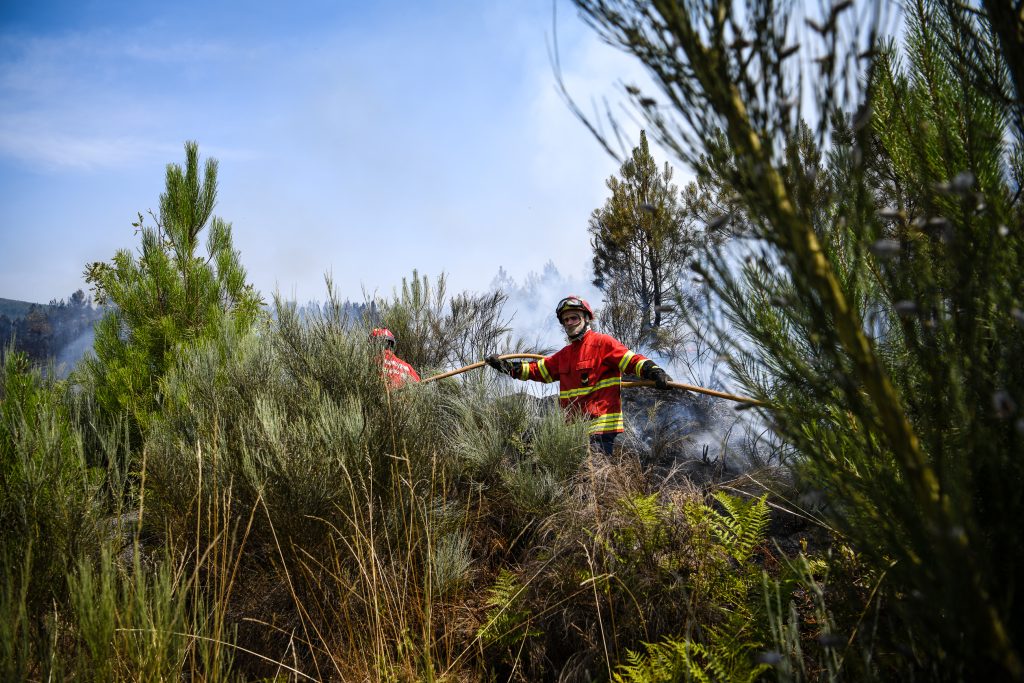  Incêndio em Mangualde reacende com intensidade - Jornal do Centro