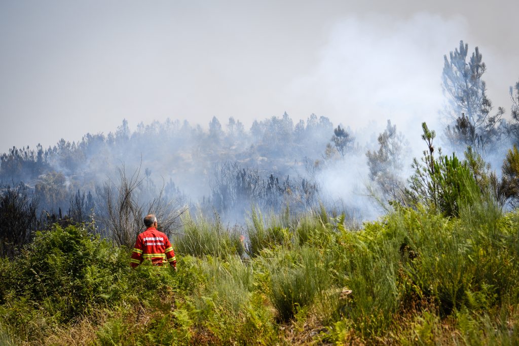  Apanhado incendiário em Tondela - Jornal do Centro