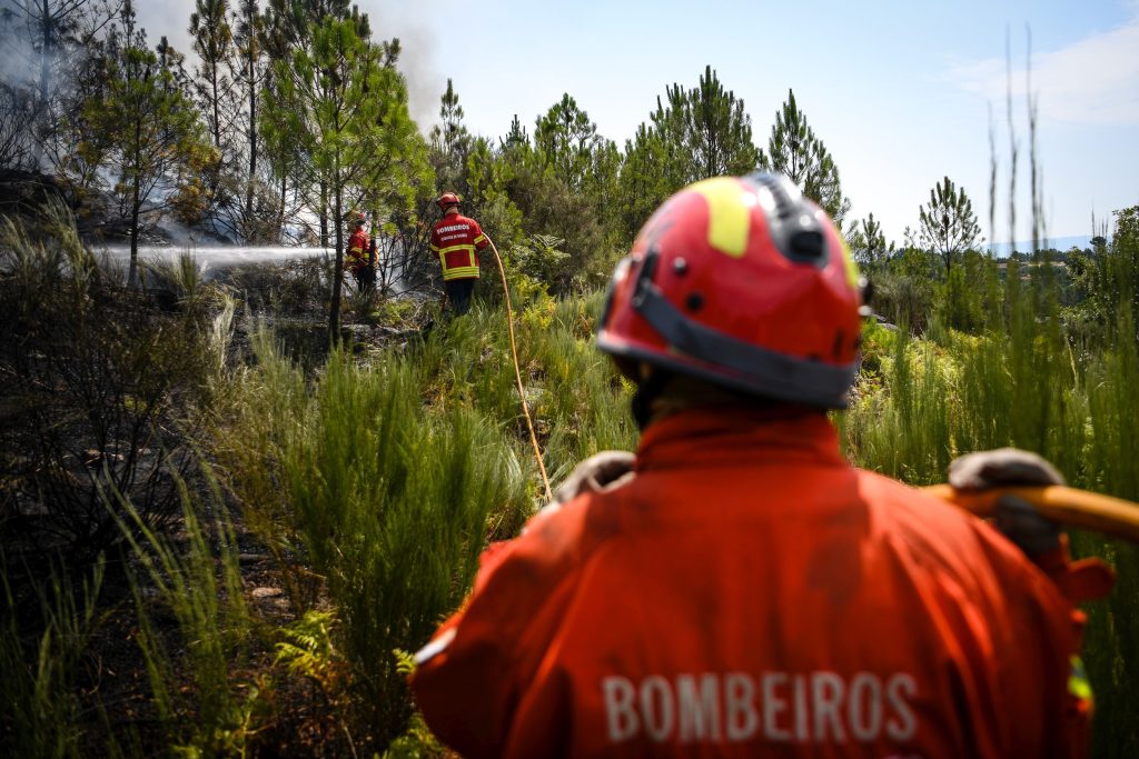  Bombeiros da região de Viseu viajam esta quarta-feira para ajudar no combate aos incêndios do Canadá - Jornal do Centro