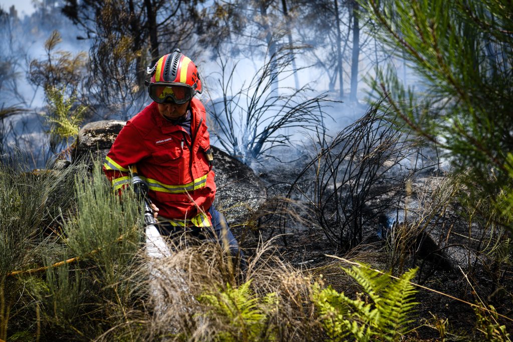  Concelhos do distrito de Viseu em perigo máximo de risco de incêndio - Jornal do Centro