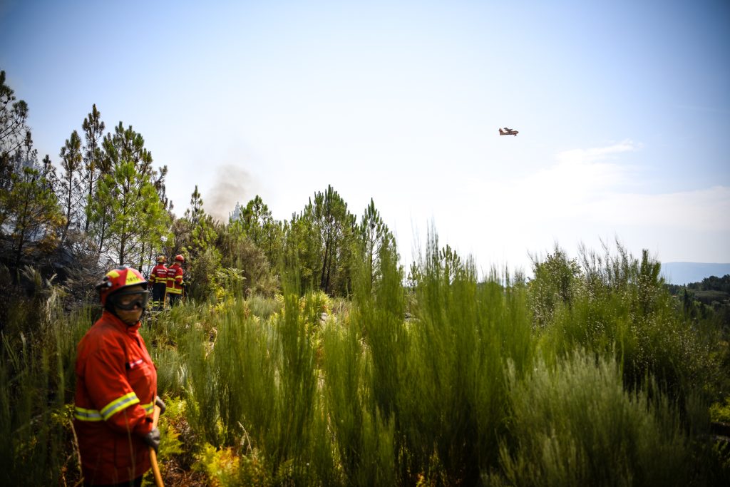  Incêndio em Penalva do Castelo combatido por mais de 70 bombeiros - Jornal do Centro