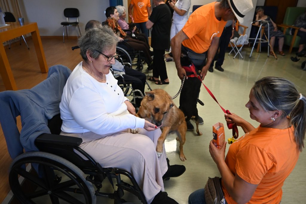  Cães fazem companhia a idosos em lar de Tarouca - Jornal do Centro
