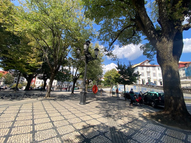  Começou a Primavera, mas Viseu com previsão de chuva esta quarta-feira