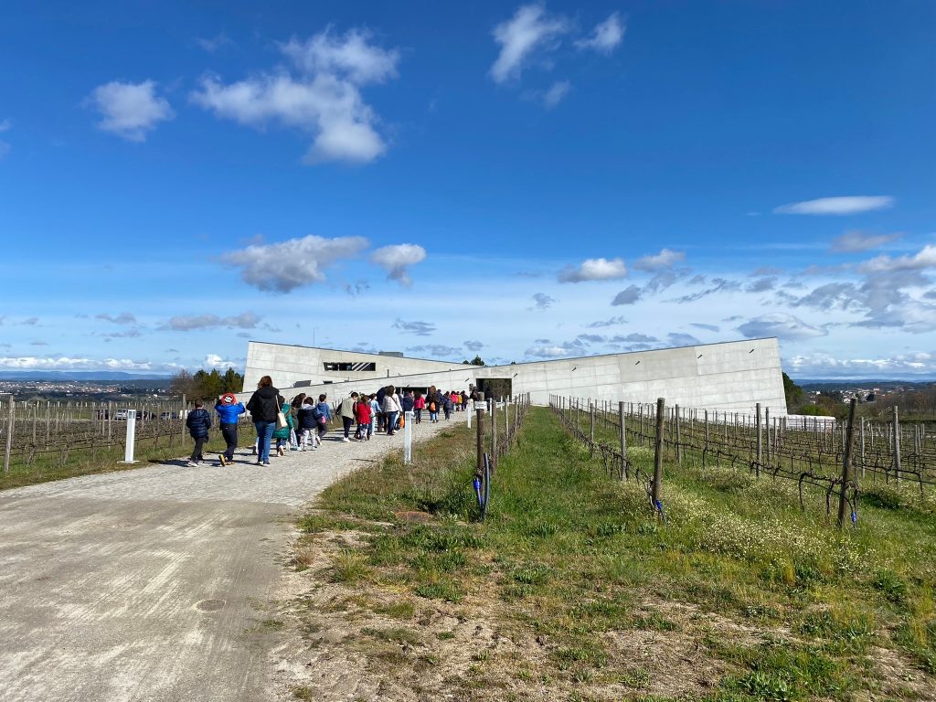  Crianças pintam casas para morcegos em quinta de Nelas - Jornal do Centro