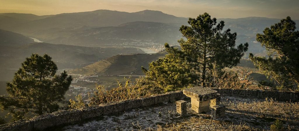  Armamar apresenta percurso da Grande Rota dos Vinhos - Jornal do Centro