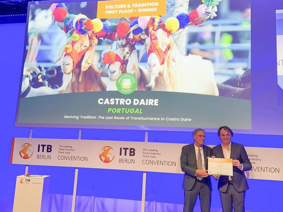  Transumância, uma rota vencedora mas sem pastores não há… prémio - Jornal do Centro