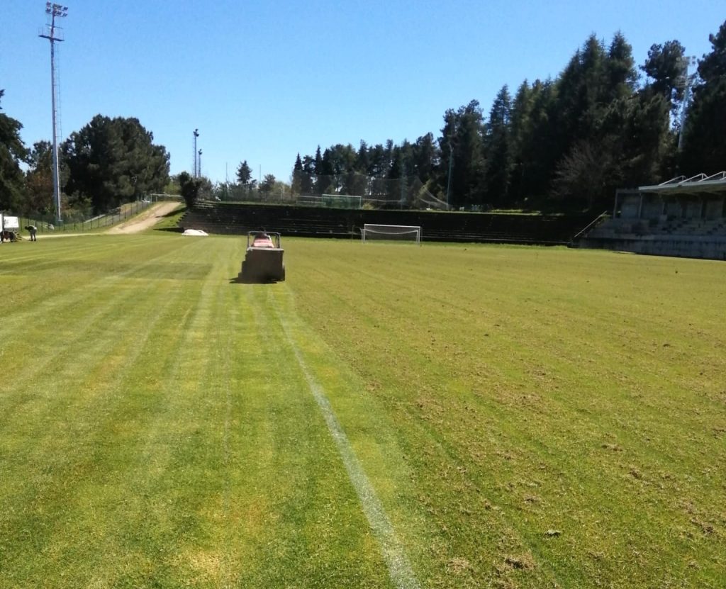  Melhorado relvado do Estádio dos Remédios, em Lamego - Jornal do Centro